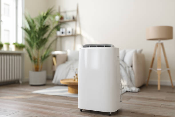 Best HVAC air duct cleaning  in Glencoe, FL